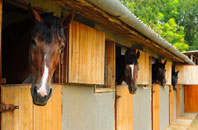 free Fell Side stable construction quotes